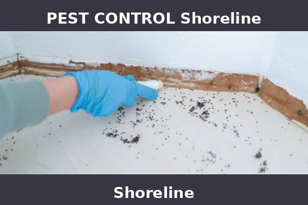 PEST CONTROL Shoreline